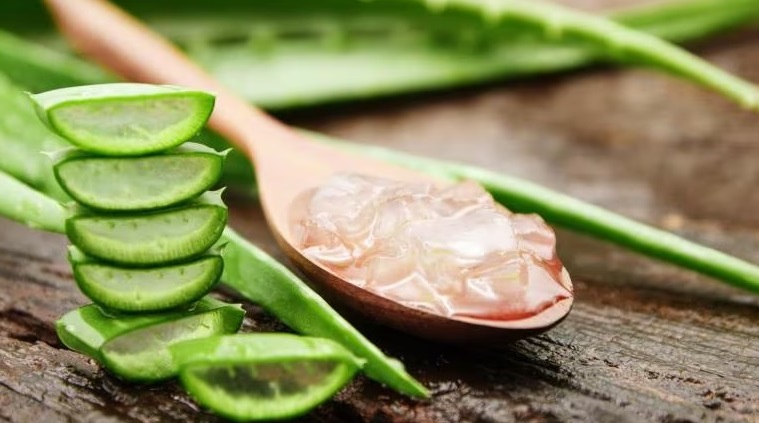 L'aloe vera può favorire la crescita delle ciglia?