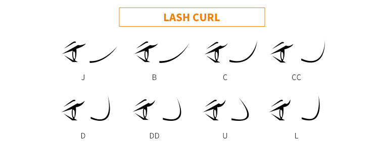 all lash curl explained