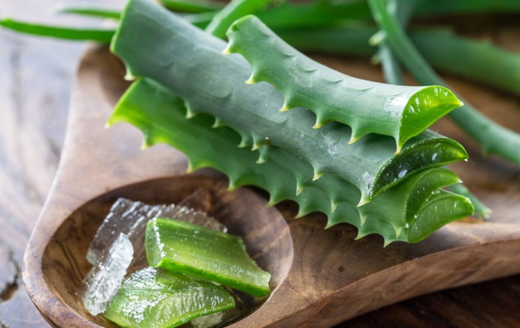 does aloe vera help eyelash growth