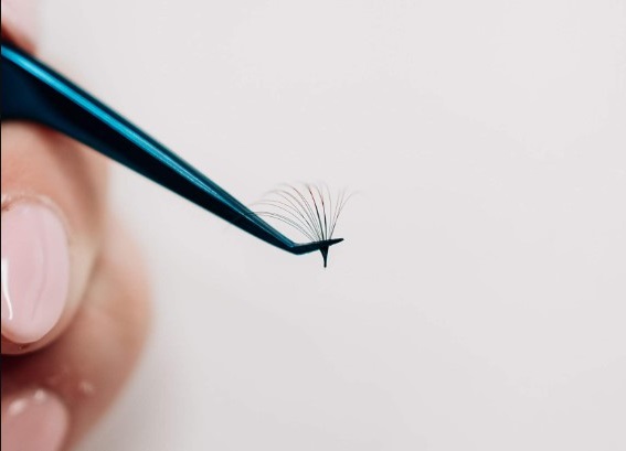 volume eyelash fan