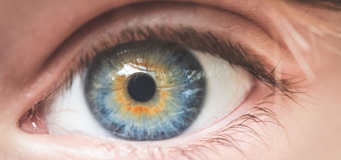 Best Ways to Get an Eyelash Out of Your Eye Lash Masterclass